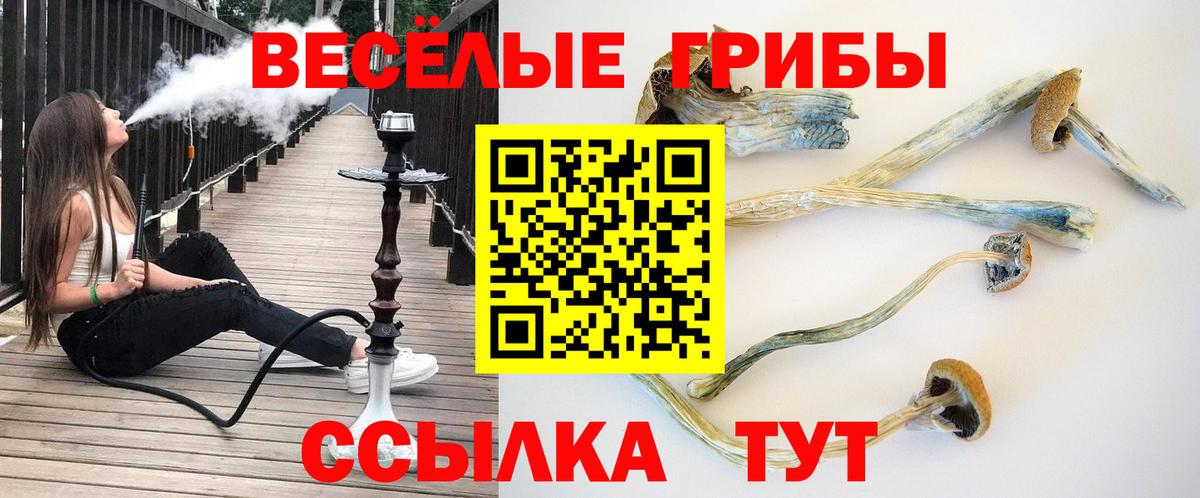 Железноводск  Галлюциногенные грибы мицелий  Галлюциногенные грибы Cubensis  купить   Вход с VPN 